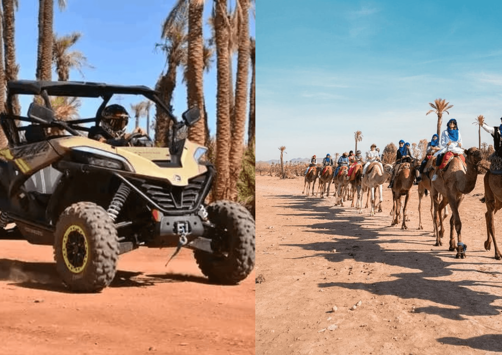 Buggy & Dromadaire 1 Heure – Palmeraie de Marrakech