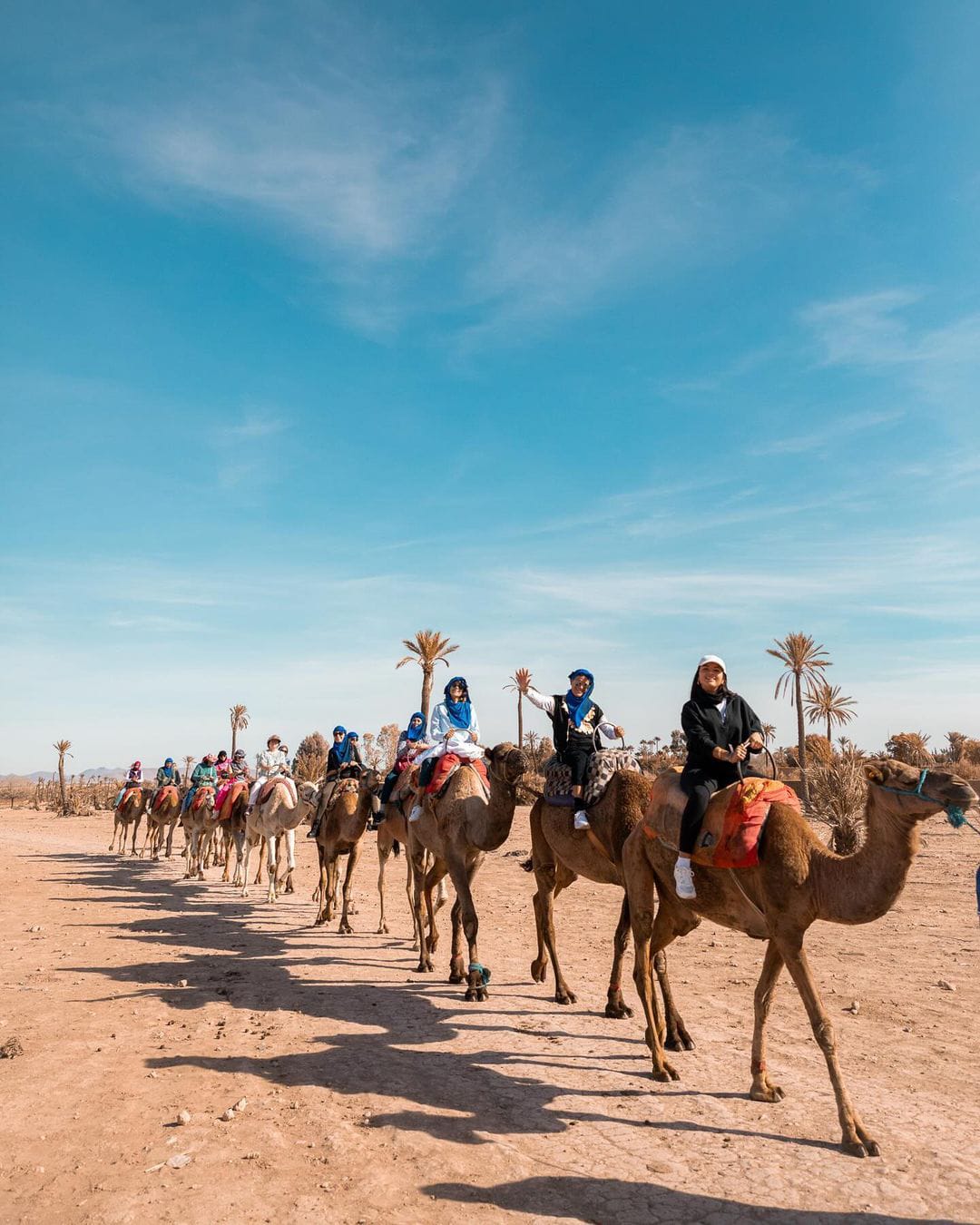 Balade à Dos de Dromadaire 1 Heure – Palmeraie de Marrakech